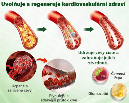 👑Zbývají už jen 4 balení! ⭐Nabízíme dodatečnou slevu 70 %! Pokud tuto šanci propásnete, další možnost se naskytne až příští rok – Moringa · Berberin × NAD+ 10 v 1 Advanced Nano 𝑨𝑵𝑮𝑬𝑳𝑻𝑹𝑨𝑷®
