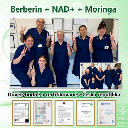 👑Zbývají už jen 4 balení! ⭐Nabízíme dodatečnou slevu 70 %! Pokud tuto šanci propásnete, další možnost se naskytne až příští rok – Moringa · Berberin × NAD+ 10 v 1 Advanced Nano 𝑨𝑵𝑮𝑬𝑳𝑻𝑹𝑨𝑷®