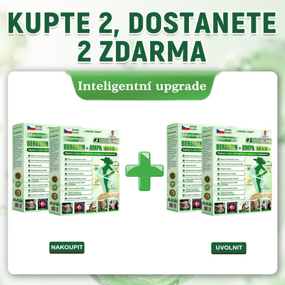 👑Zbývají už jen 4 balení! ⭐Nabízíme dodatečnou slevu 70 %! Pokud tuto šanci propásnete, další možnost se naskytne až příští rok – Moringa · Berberin × NAD+ 10 v 1 Advanced Nano 𝑨𝑵𝑮𝑬𝑳𝑻𝑹𝑨𝑷®