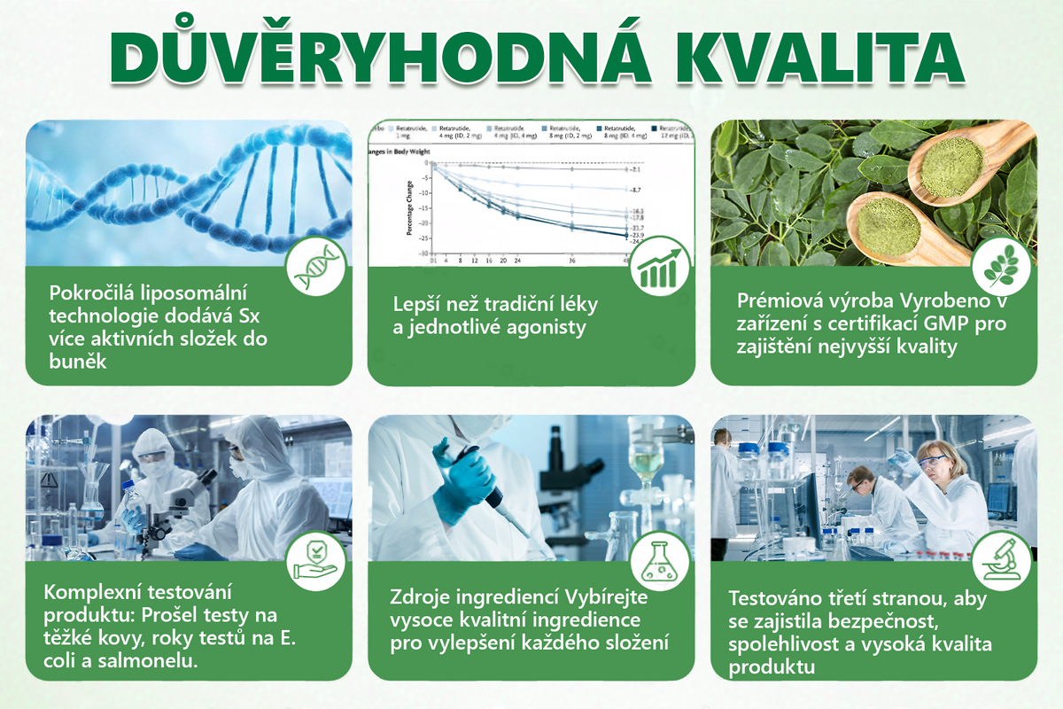 👑Zbývají už jen 4 balení! ⭐Nabízíme dodatečnou slevu 70 %! Pokud tuto šanci propásnete, další možnost se naskytne až příští rok – Moringa · Berberin × NAD+ 10 v 1 Advanced Nano 𝑨𝑵𝑮𝑬𝑳𝑻𝑹𝑨𝑷®