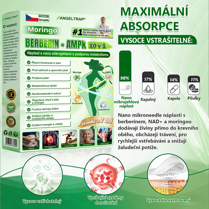 👑Zbývají už jen 4 balení! ⭐Nabízíme dodatečnou slevu 70 %! Pokud tuto šanci propásnete, další možnost se naskytne až příští rok – Moringa · Berberin × NAD+ 10 v 1 Advanced Nano 𝑨𝑵𝑮𝑬𝑳𝑻𝑹𝑨𝑷®