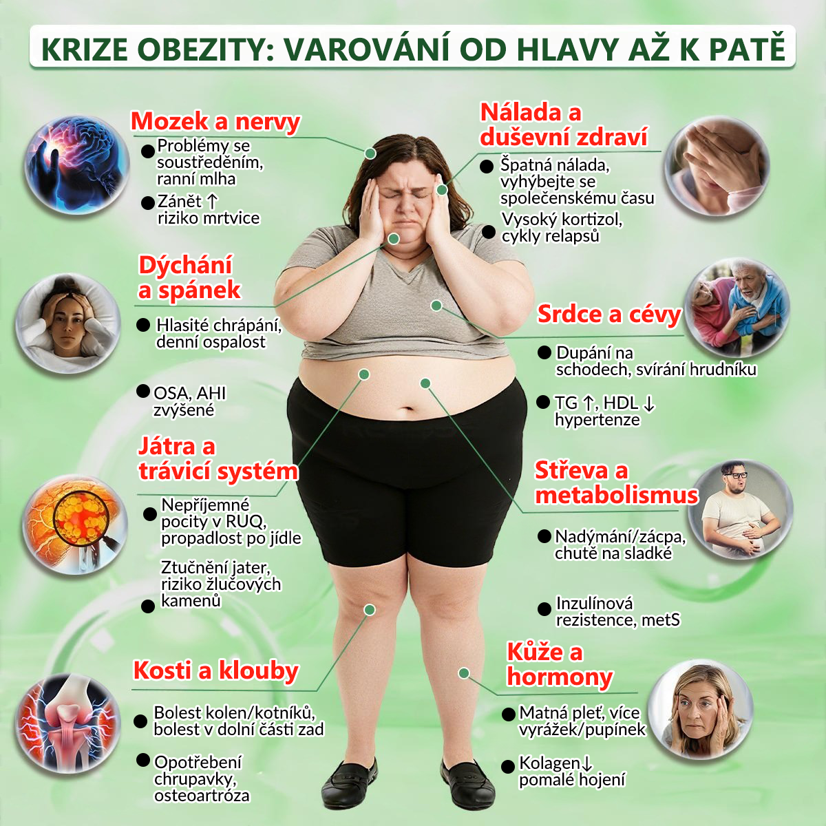 👑Zbývají už jen 4 balení! ⭐Nabízíme dodatečnou slevu 70 %! Pokud tuto šanci propásnete, další možnost se naskytne až příští rok – Moringa · Berberin × NAD+ 10 v 1 Advanced Nano 𝑨𝑵𝑮𝑬𝑳𝑻𝑹𝑨𝑷®