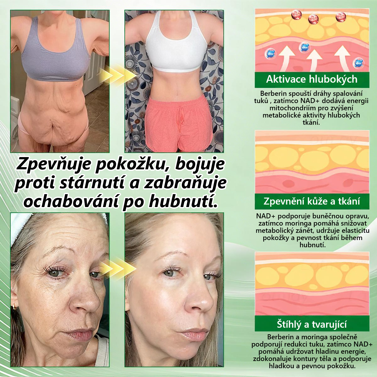 👑Zbývají už jen 4 balení! ⭐Nabízíme dodatečnou slevu 70 %! Pokud tuto šanci propásnete, další možnost se naskytne až příští rok – Moringa · Berberin × NAD+ 10 v 1 Advanced Nano 𝑨𝑵𝑮𝑬𝑳𝑻𝑹𝑨𝑷®